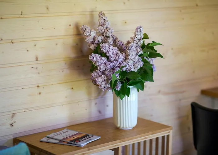 Westfalowachatka Z Jacuzzi * Sasino